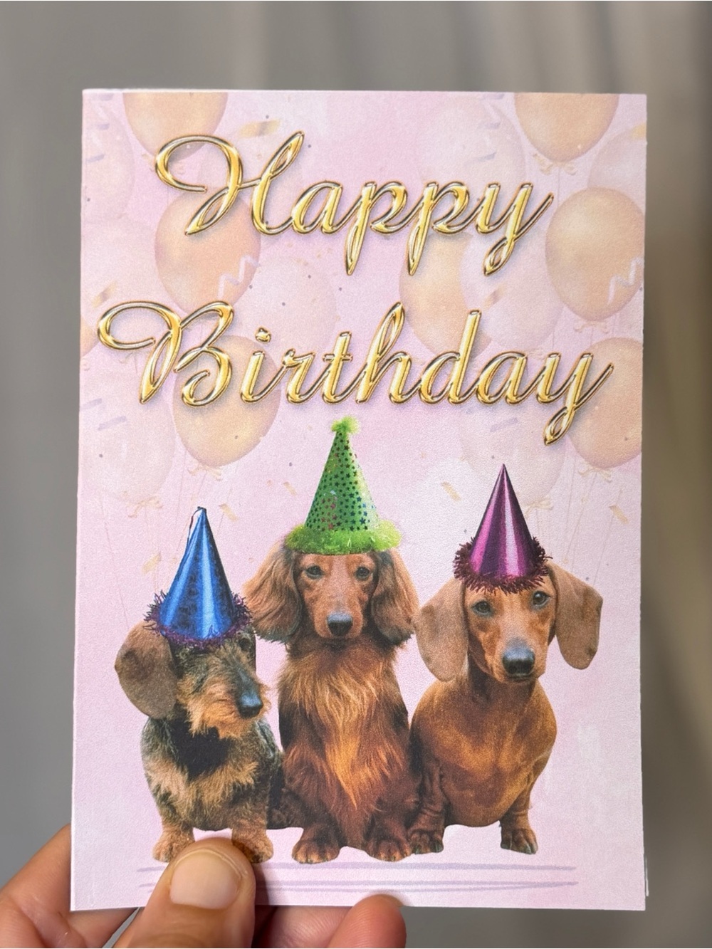Happy Birthday Dachshund Greeting Card Set of 15 with Envelopes Blank Inside